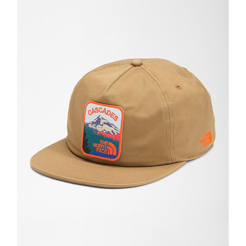 The North Face Caps Womens Australia - The North Face Embroidered Earthscape Ball Brown (CJK-256748)